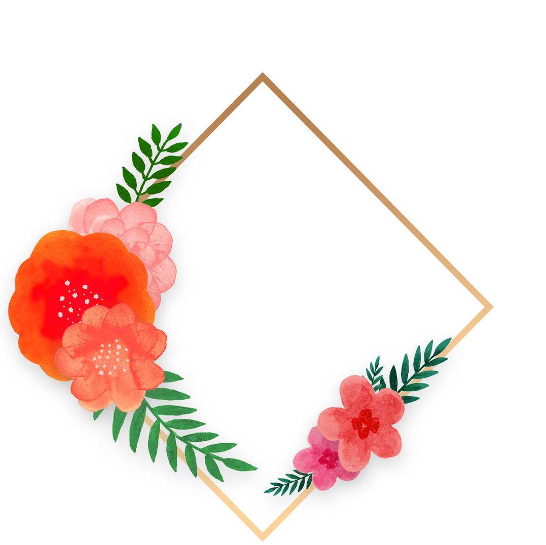 漂亮的彩色边框图片大全,好看的绿叶边框