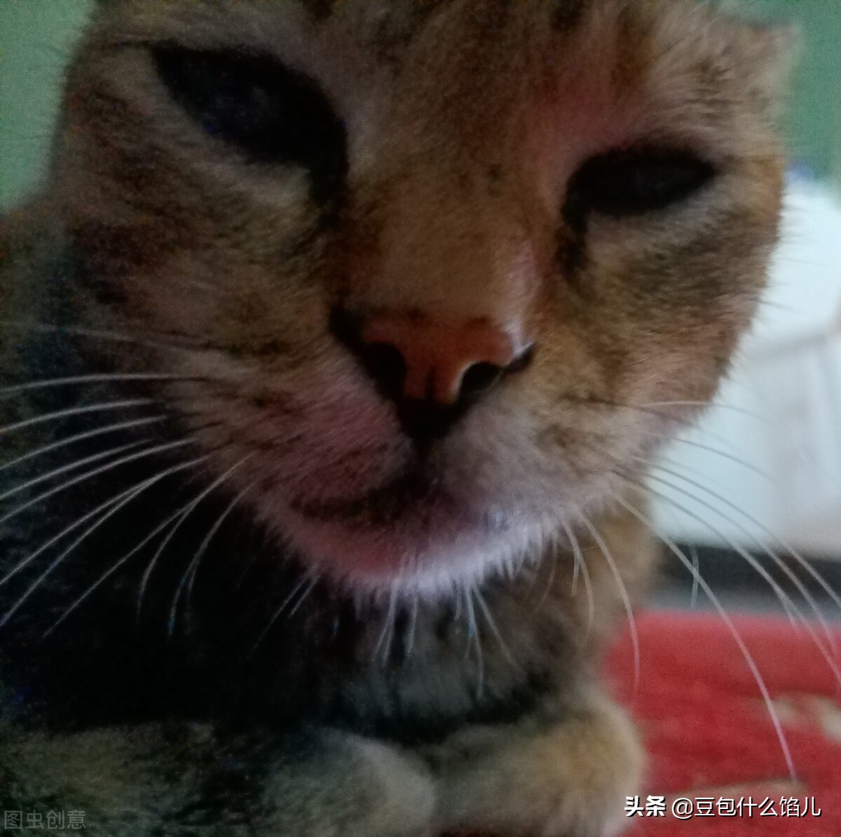 超搞笑40个短笑话段子,开心一刻幽默搞笑小笑话段子