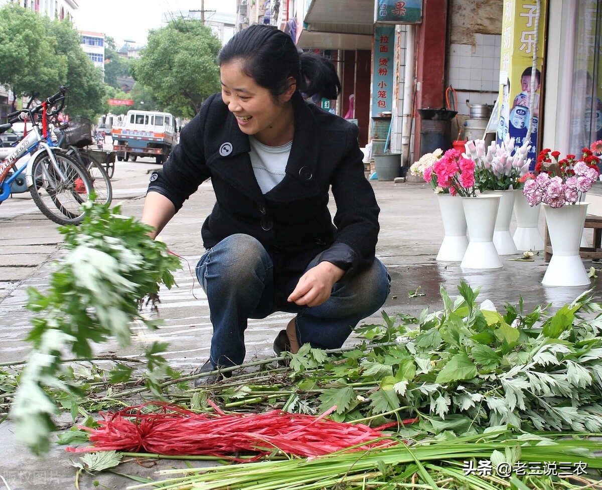 养兔技术喂兔用的主要能量饲料,能让兔子长得又快又好的饲料配方