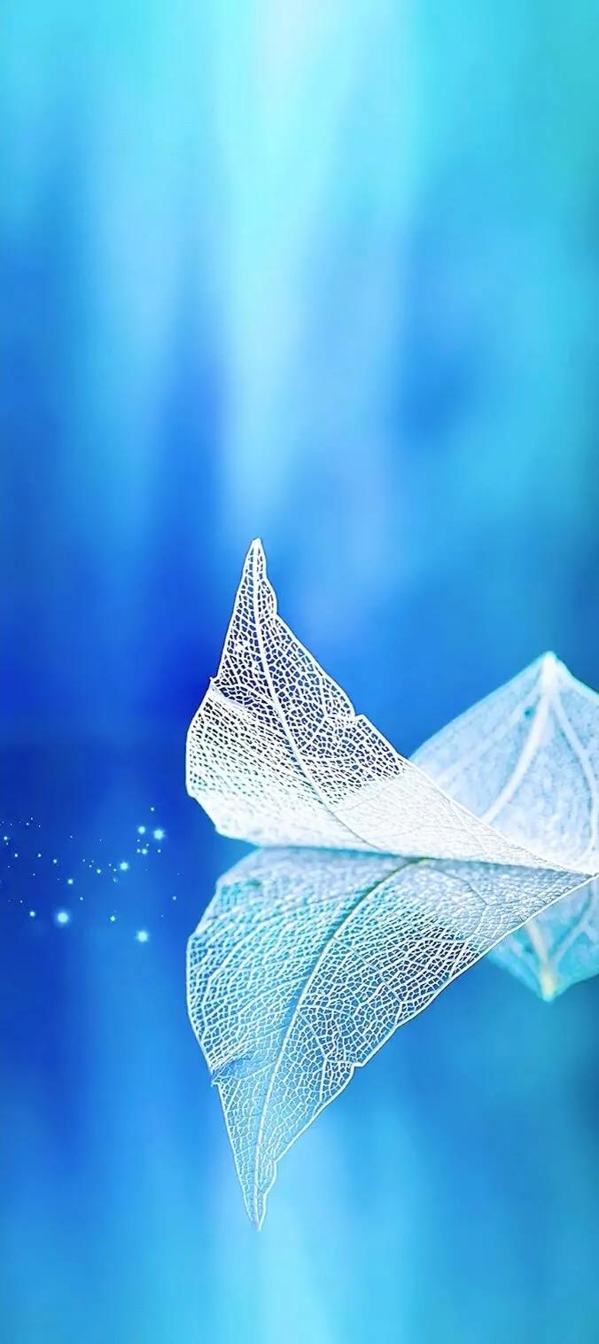 上班励志高清壁纸4k全屏电脑壁纸,黑鲨壁纸动态壁纸高清全屏90帧