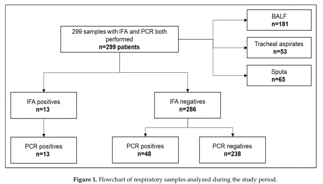 hiv感染肺孢子菌肺炎,hiv患者检查出耶氏肺孢子菌