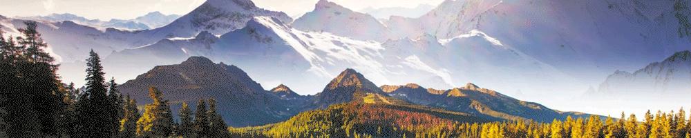 膨胀的山姆代购，持卡上百张、搬空货架，前员工：光靠散客难养活