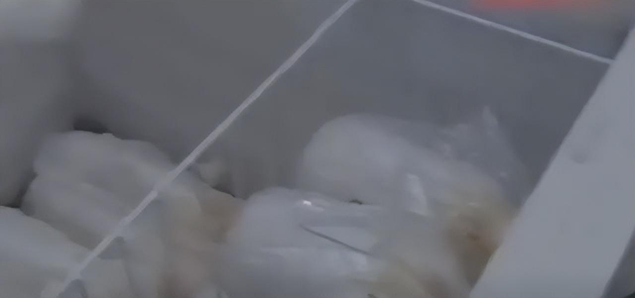 中国蛇毒女王是谁,广西蛇毒王事件