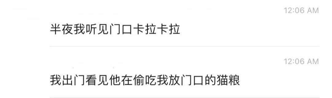 20多斤巨型橘猫,20斤的流浪橘猫