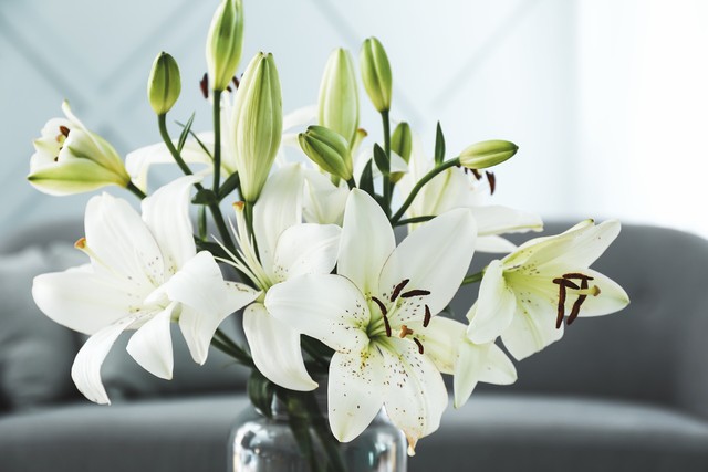 刚谈恋爱时送花说什么,什么时候给女朋友送花最合适