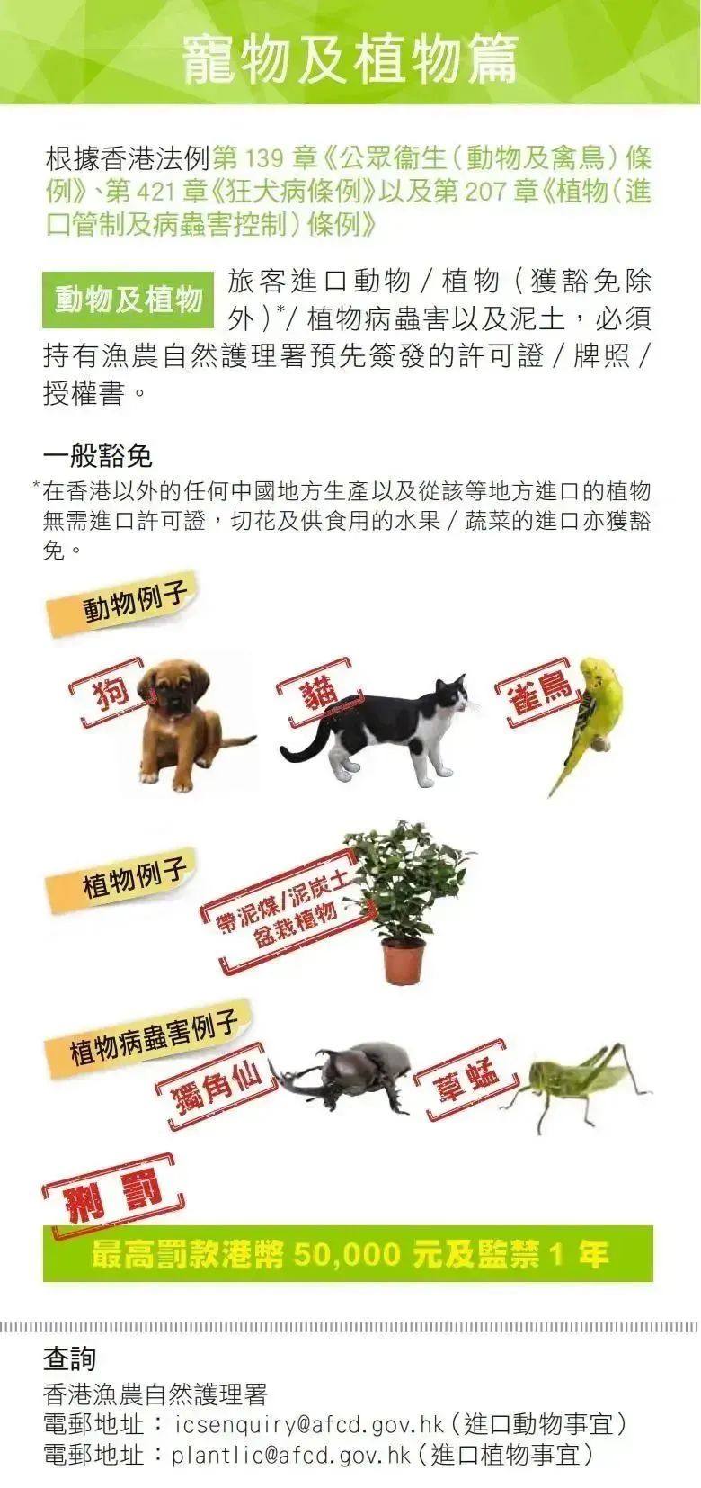 去香港旅游过海关什么东西不能带,入境香港旅游的最新规定