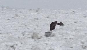 女朋友平胸是什么心理,女生平胸如何安慰