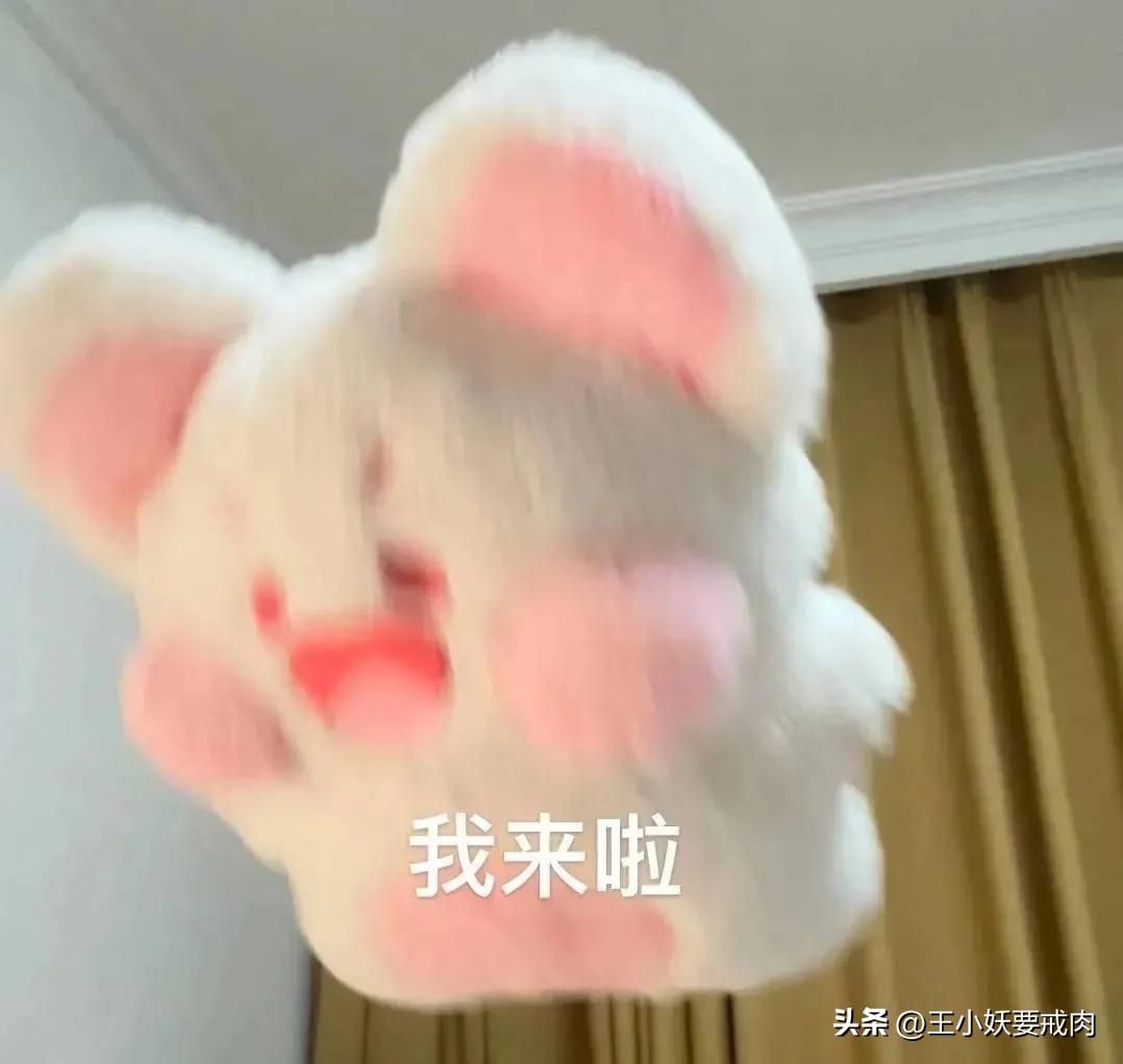 上海外卖美食推荐干货四川北路,上海外卖必点美食