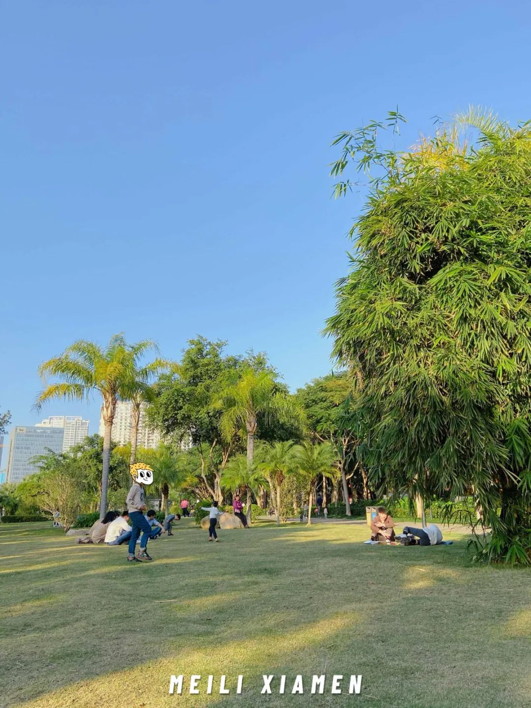 海湾公园看日落最好的地方,最美日落海滩打卡点