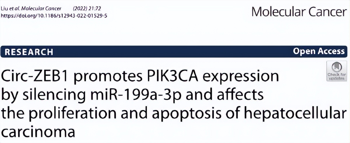 肝炎到肝癌的发展过程,肝癌早期最新研究报告
