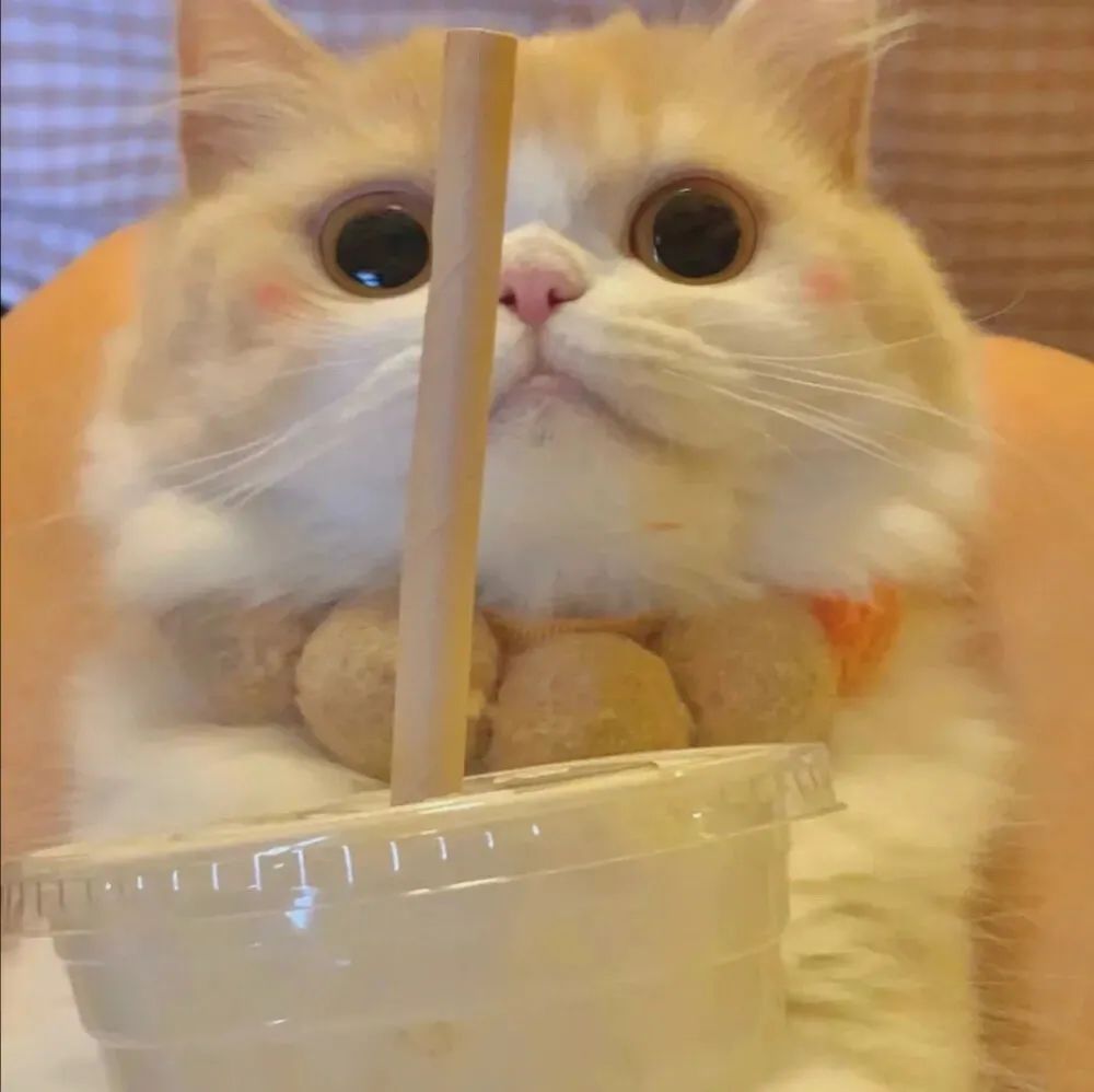 抖音男生动漫头像,抖音超仙头像动漫