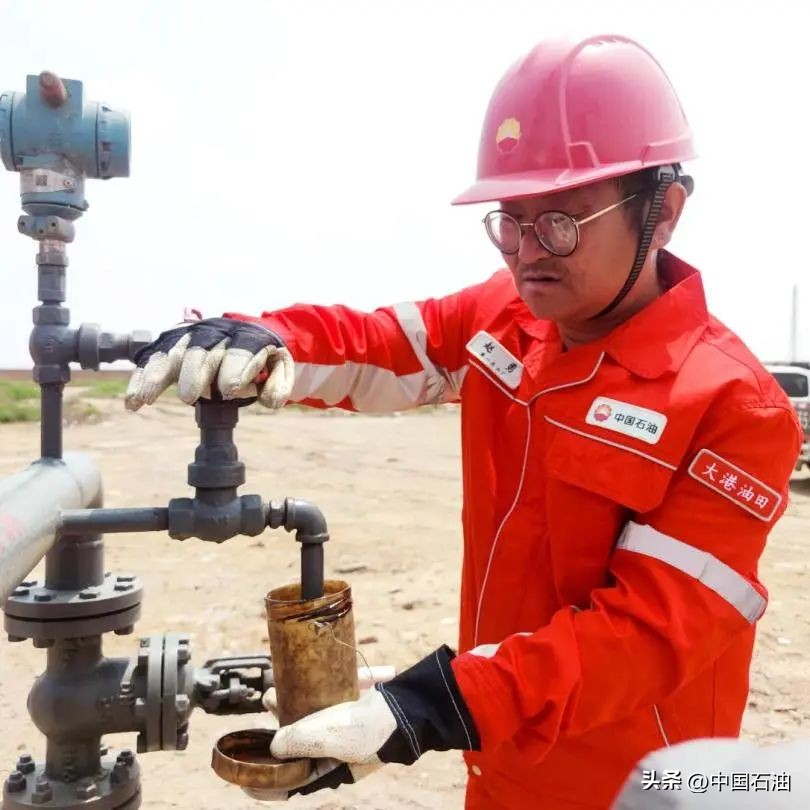 特别策划案例,特别策划系列