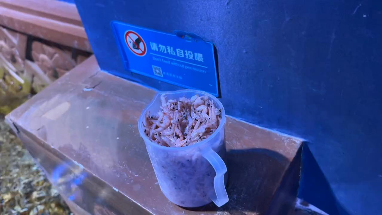 海洋馆里的好物,海洋馆的好物推荐