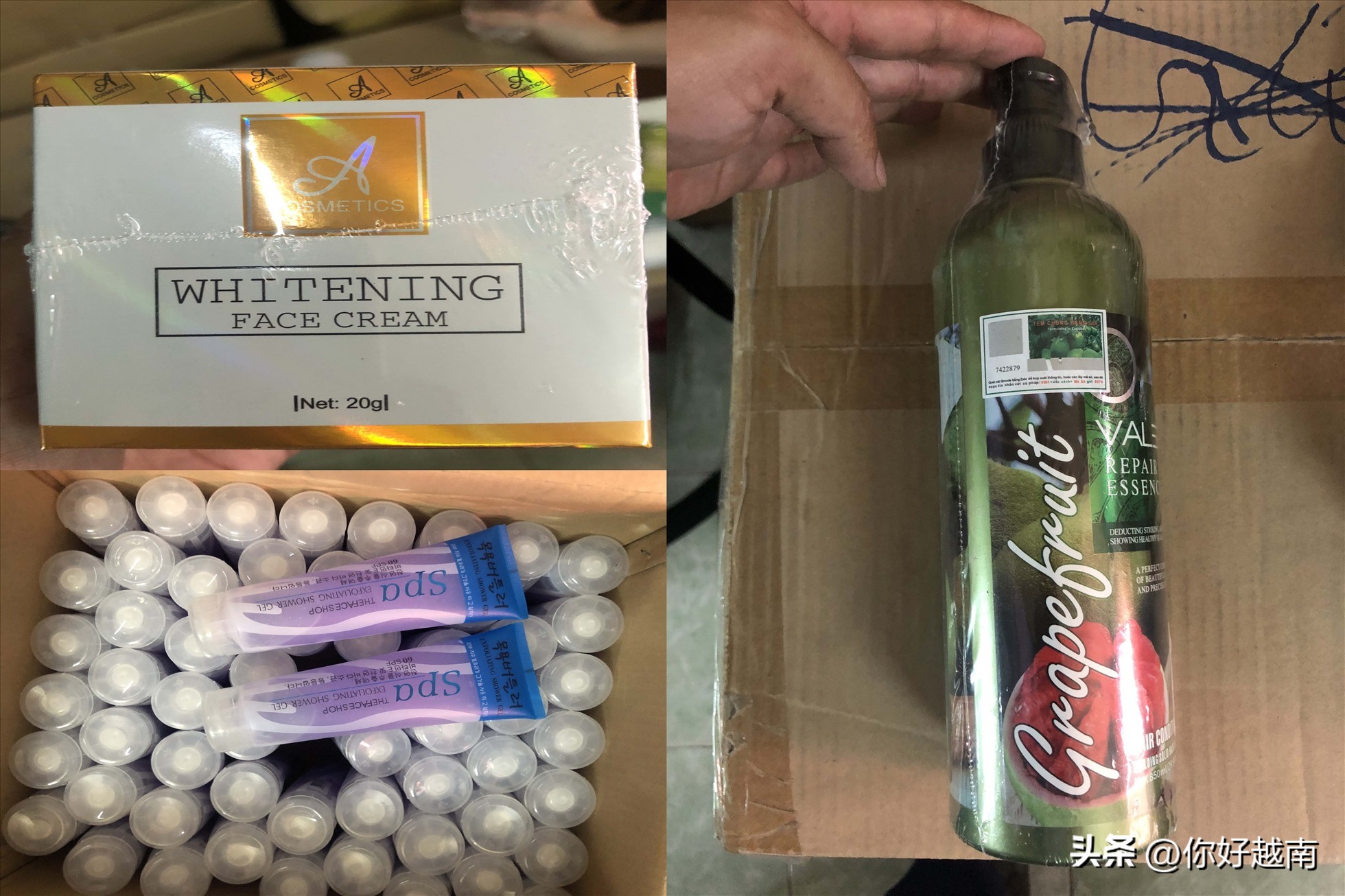 瓒婂崡鑳″織鏄庡競鍙嶈厫鍔涘害,瓒婂崡鑳″織鏄庡競鍙嶈厫