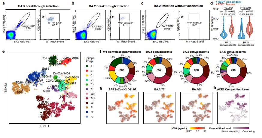 从流感病毒看新冠病毒的未来,流感及新冠病毒科普