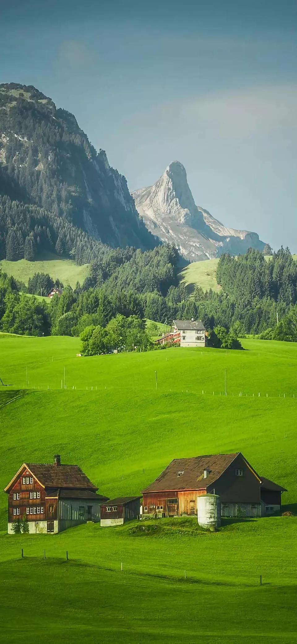 春天清新壁纸图片大全,手机壁纸春天风景超清