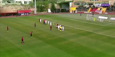 狗冲进足球场挡住一粒进球,小狗进足球场扑球