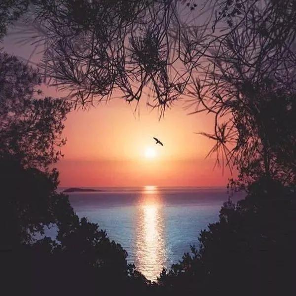 中年男人不再爱你的三种表现,从细节判断中年男人对你动心了