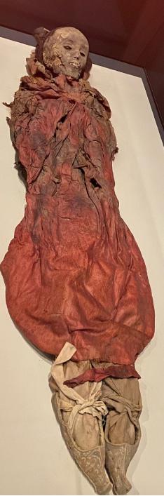 让尸体开口说话查案,让尸体说话纪录片