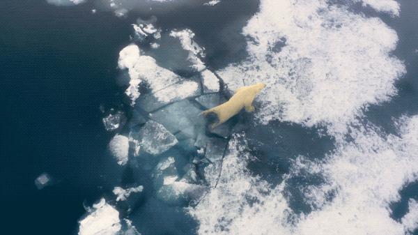 国产必看佳片,开年佳片推荐