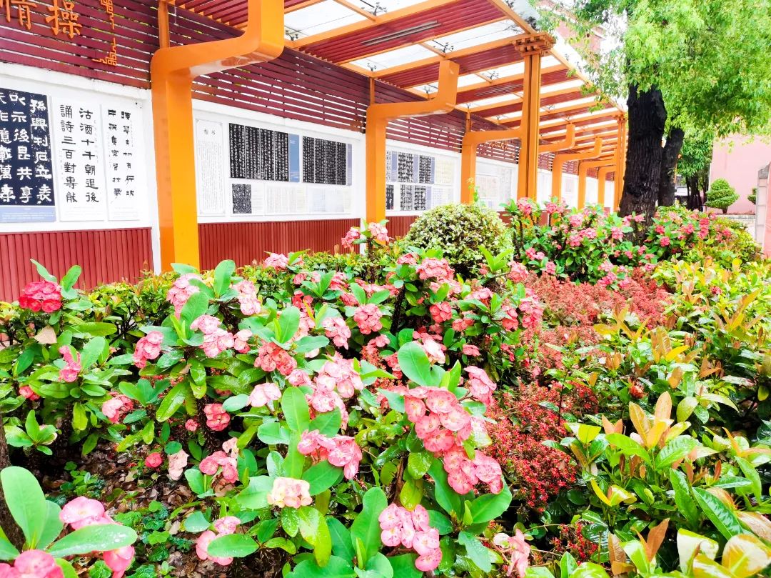 选择石碣四海学校！报读一年级和七年级学生6月4日开始网上填报志愿！