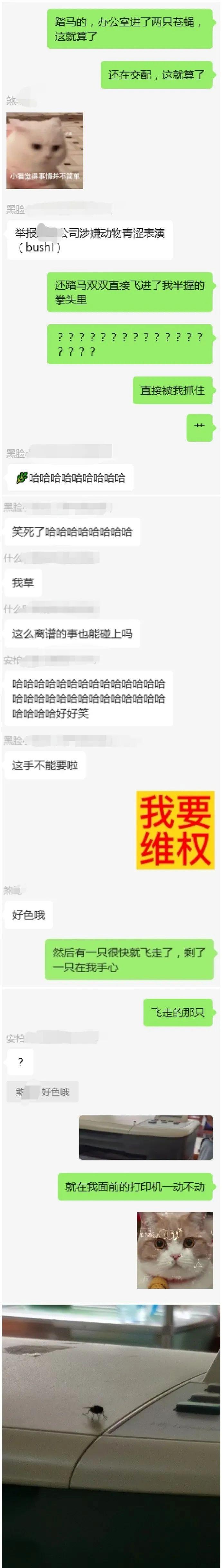 “已转发到公司群，希望领导能懂”