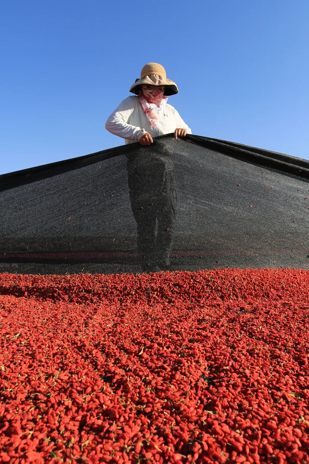 碳水*弹炸**配肉食，甘肃人的年味有多“攒劲”？