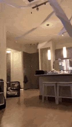 80个神奇的真实照片，不高兴的狗子，崎岖的铁路，倒立劈叉拉筋