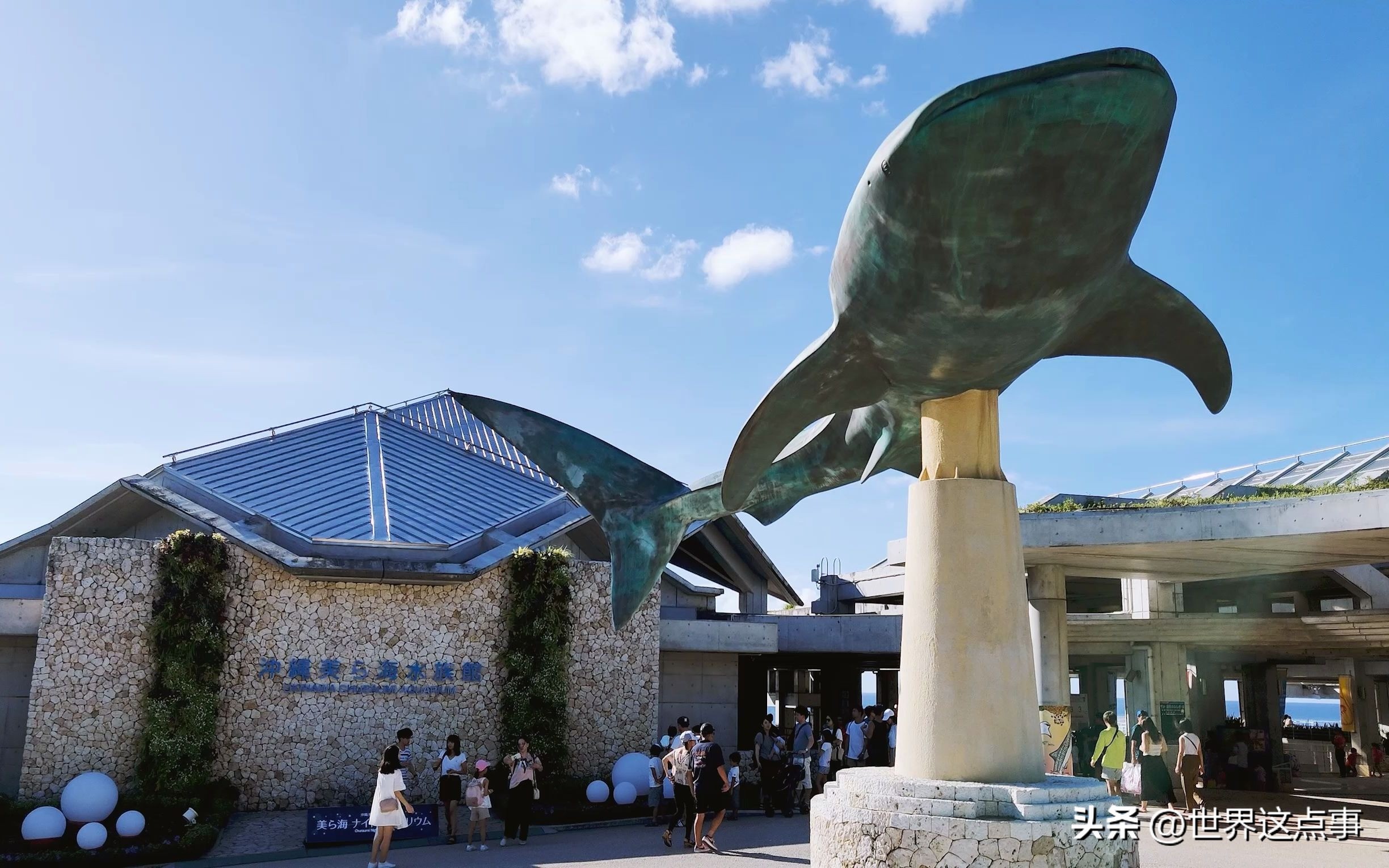 日本旅游攻略自由行详细,日本旅游攻略自由行最新