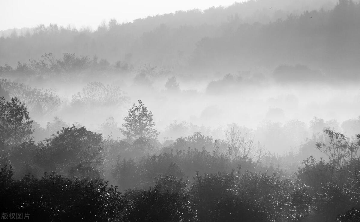 李玟因抑郁症自杀去世,李玟因抑郁症去世