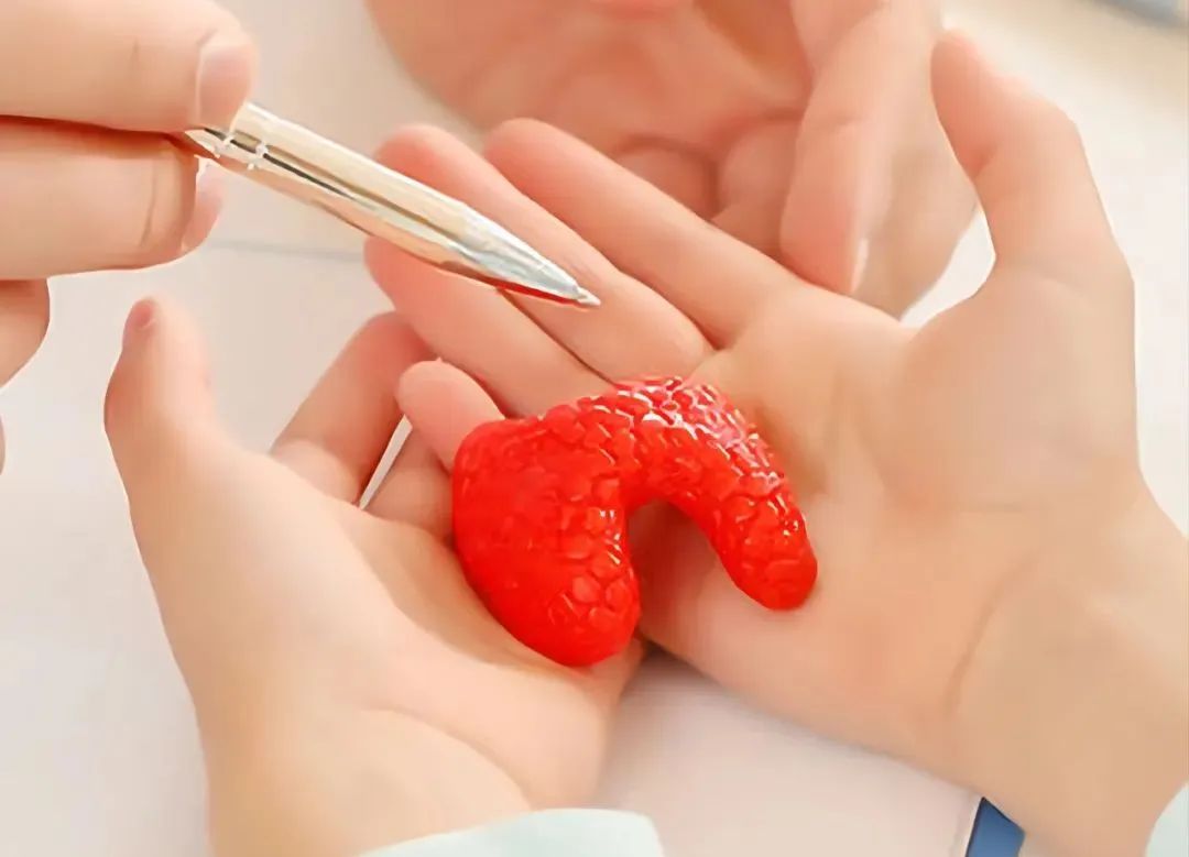 i甲,早期甲癌全切会痊愈吗