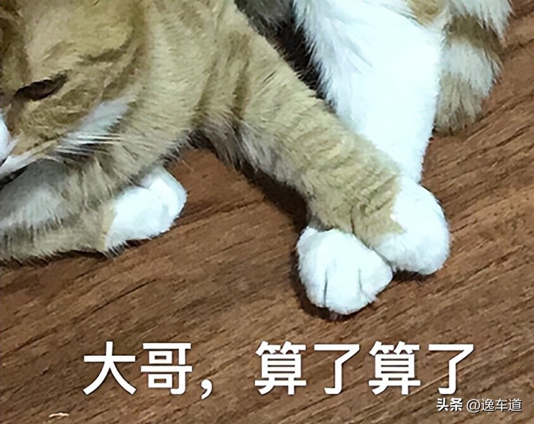 15w预算买迈腾,15w预算还要买a级车吗