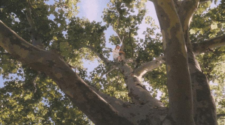 怦然心动家庭教育,怦然心动女孩对男孩说的话