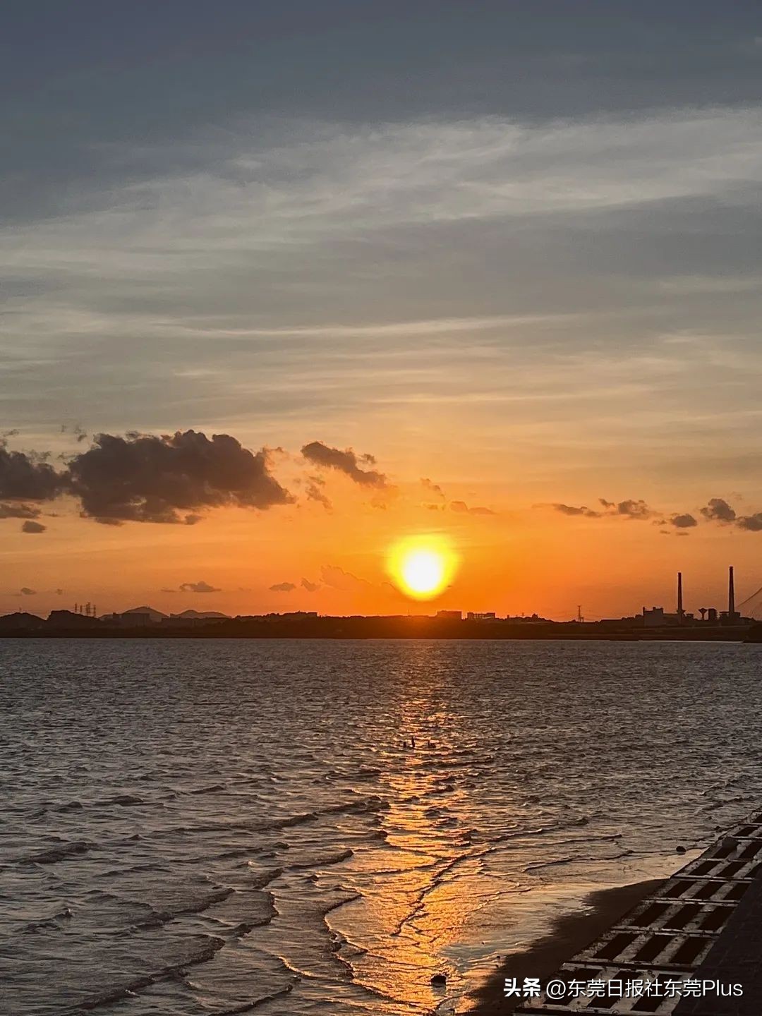 东莞可以看海和赏花的公园,东莞国庆看海游玩推荐