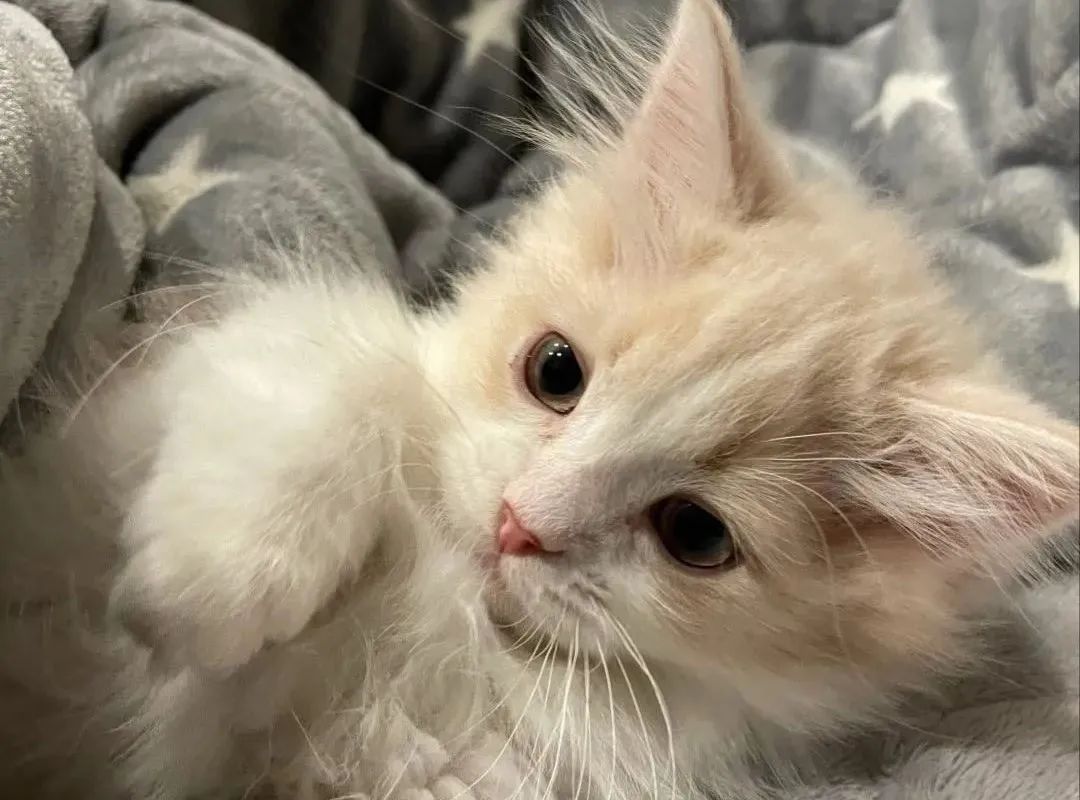 保持身心健康的50件小事,关于保持身体健康有什么建议