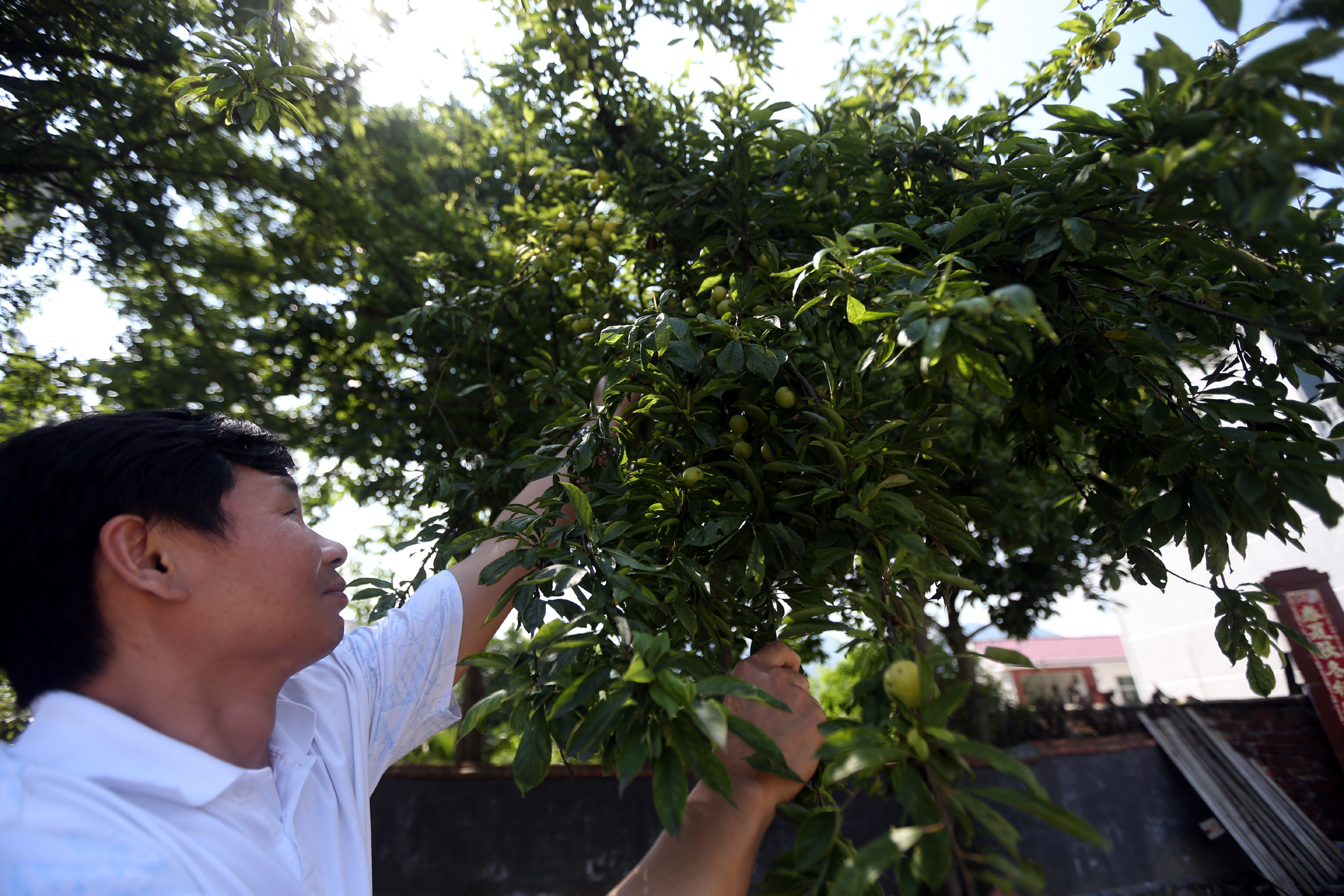 50岁老阿姨在家拍照,70后老阿姨拍照片