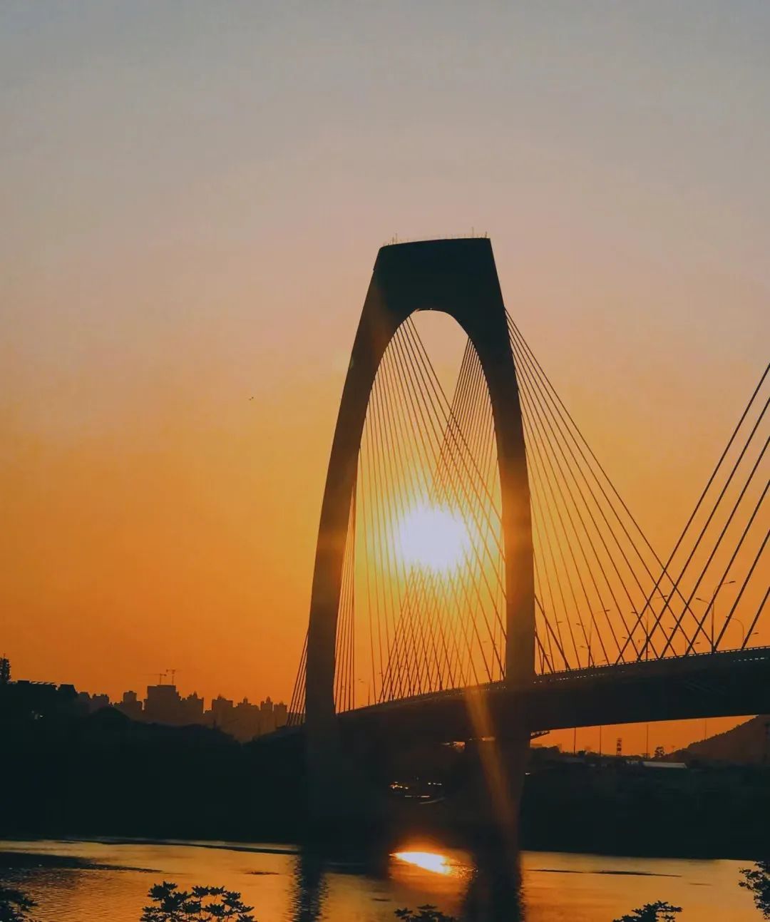 回到早睡早起的日子,回老家朝九晚五