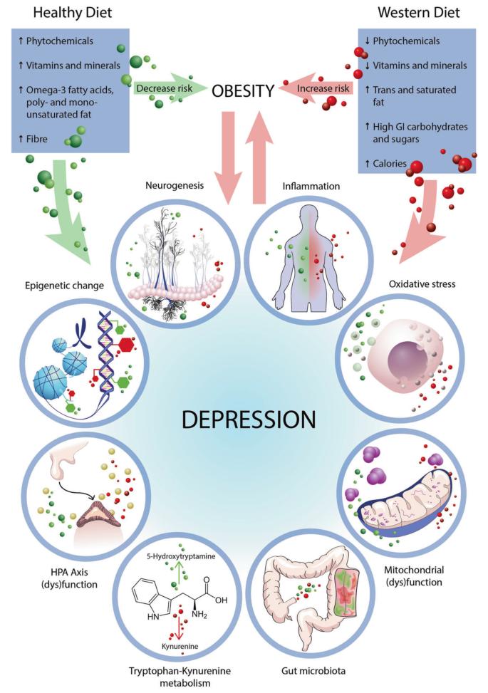 食物与抑郁症,抑郁症饮食的十大原则