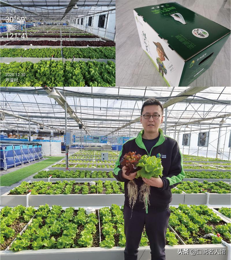 上海奇人：养鱼不换水，种菜不施肥，年入3600万，疫情在家也不愁