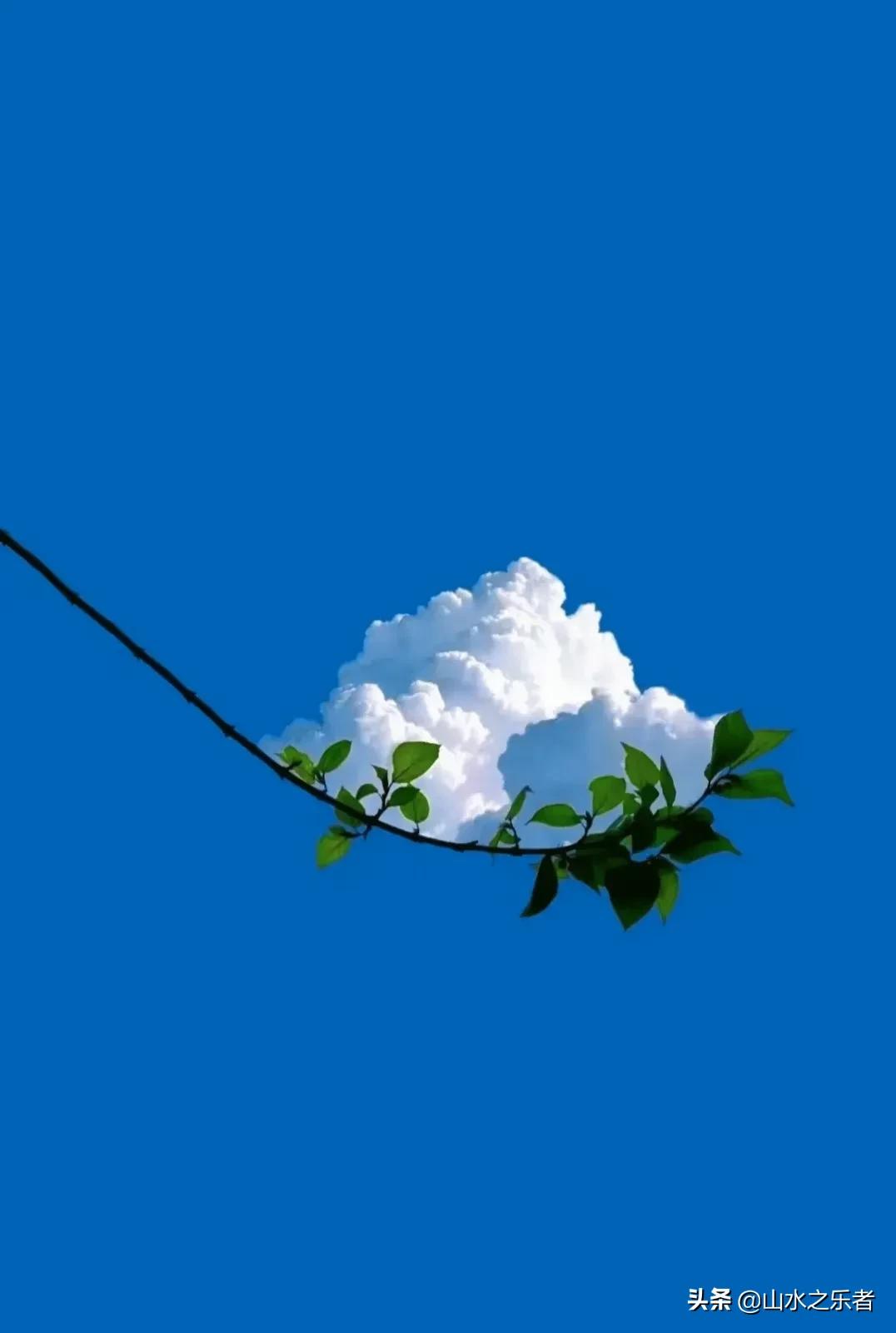 律宗祖庭净业寺纪录片,律宗祖庭净业寺玄都坛