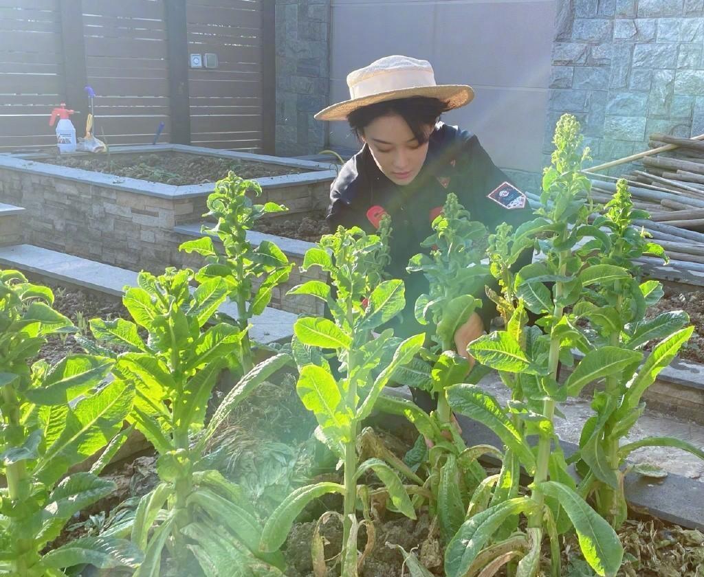 张馨予嫁给了当兵的何捷,张馨予嫁给何捷平时怎么在一起