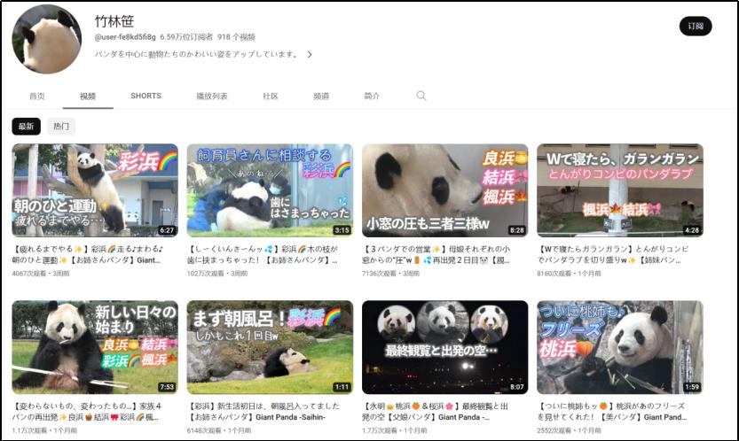 中国十大顶流女明星,顶流女明星穿越电视剧