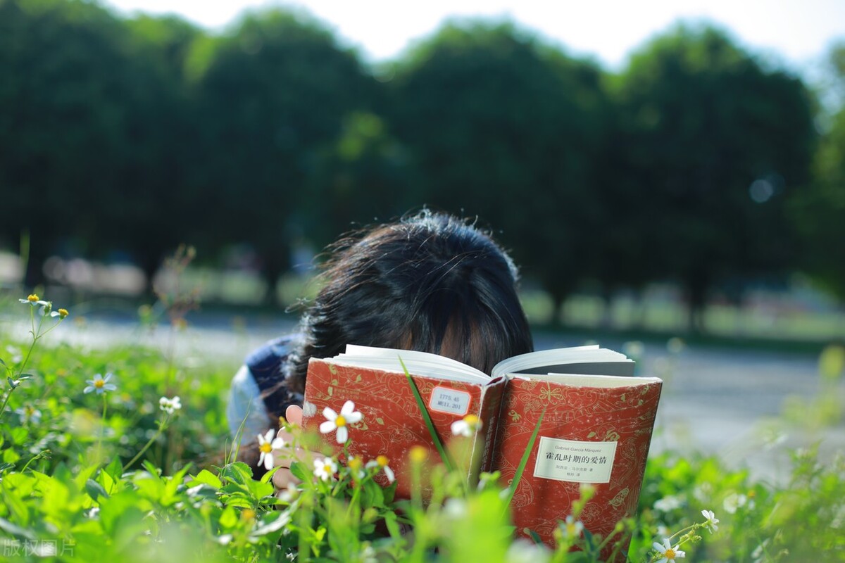 这4所大学实力强,十大高职高专排名一览表