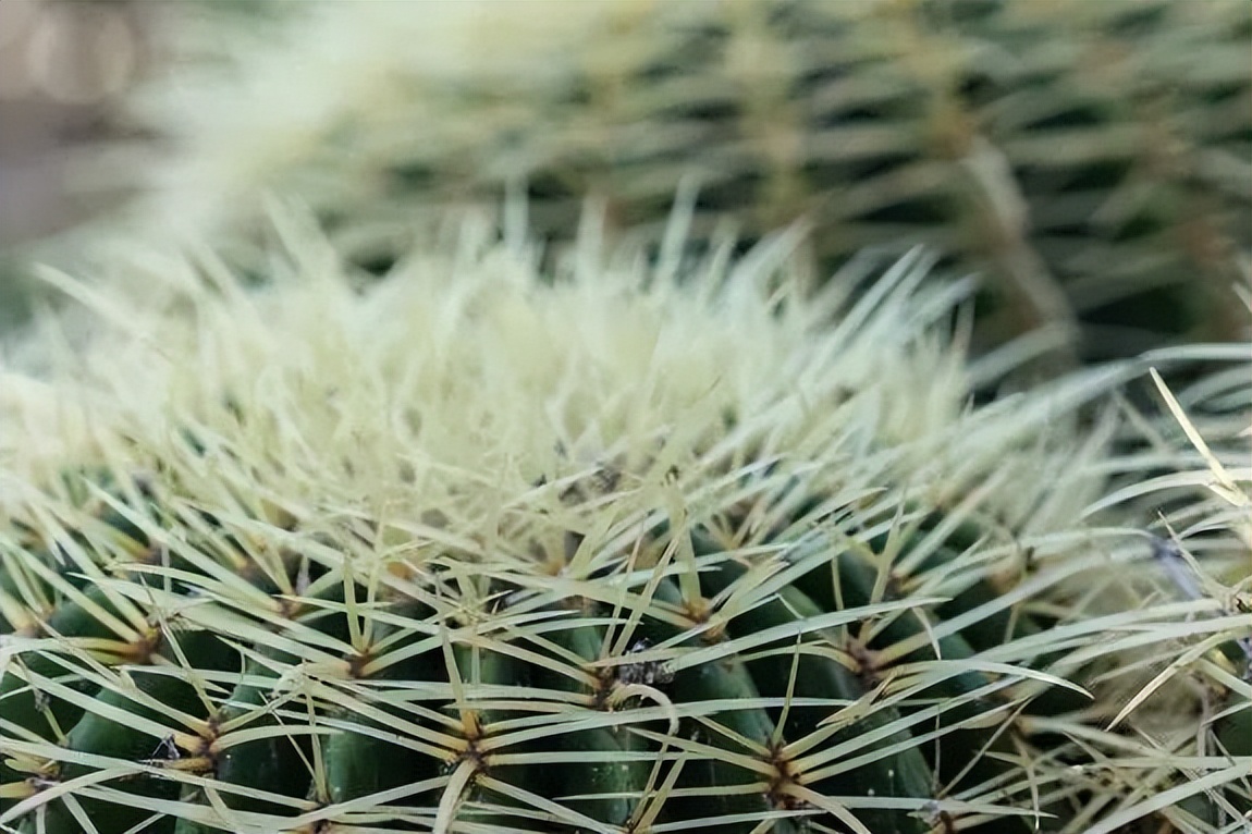 得了痔疮什么中药不能用,得了痔疮到底割还是不割