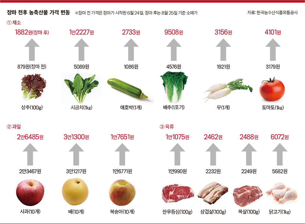玉米芯能吃？韩国每年从我国低价进口大量玉米芯，干什么用？