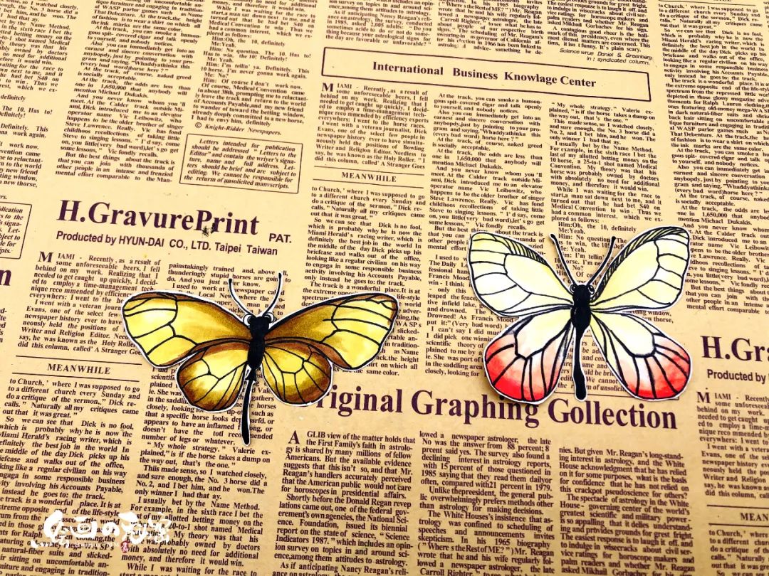 翩翩起舞的蝴蝶兰,翩翩起舞的蝴蝶舞蹈