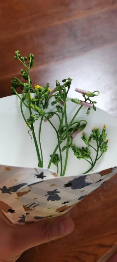 朋友20周年结婚纪念日送什么礼物,结婚30年纪念日送老婆什么礼物好