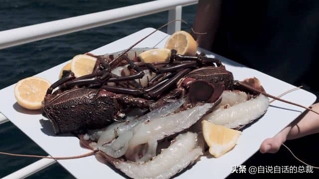 龙虾青龙和花龙区别,龙虾也是生物为什么我们要吃它