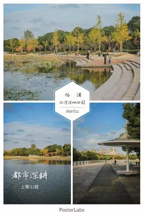 杨迎勋散文：新江湾城湿地沪上＂绿宝石＂