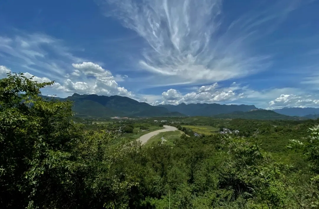 癸卯孟夏里的散词幽思·05